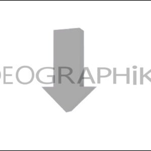 flecha-arrow-animation-download